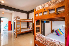 goSTOPS McLeod Ganj