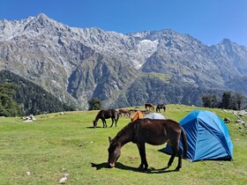 Hostel Hikers World