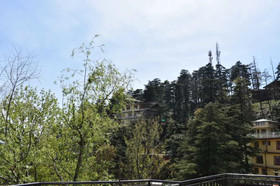 Hotel Misty Woods