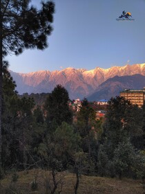 Sharrys Homestay