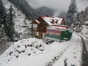 Dev Conifers Green