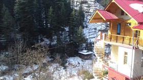 Dev Conifers Green