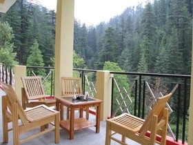 Dev Conifers Green
