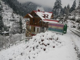 Dev Conifers Green