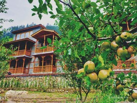 The Bluestream Cottage Jibhi