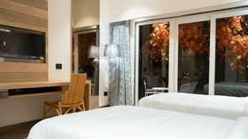Hotel Clarks Inn Suites Kangra
