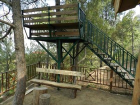 Nature Stay
