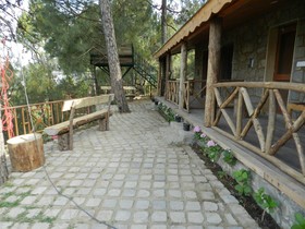 Nature Stay