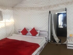 Pine Trails Jungle Camp