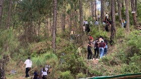 Pine Trails Jungle Camp