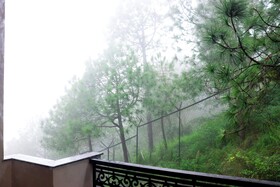 Rosetum Kasauli