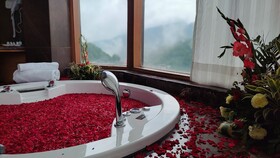Rosetum Kasauli