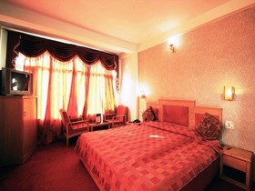Ankit Palace