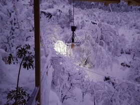 Elegance Retreat