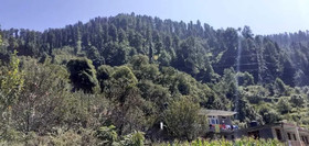 Hotel Himalayan Oak