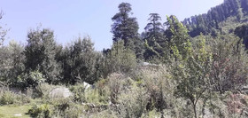 Hotel Himalayan Oak