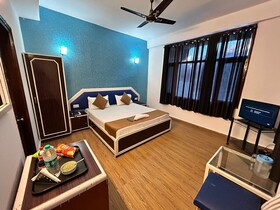 Hotel Manali Palace