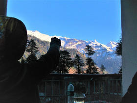 Manali Top Inn and Cafe