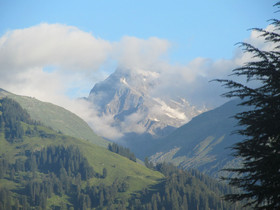 Manali Top Inn and Cafe