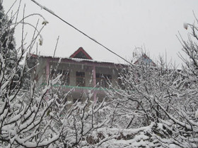 Manali Top Inn and Cafe