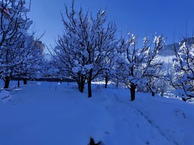 Montana Blues Resort By Snow City