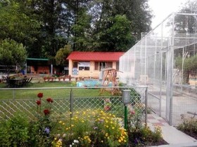 Signature Manali
