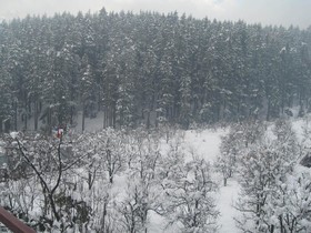 Snow Valley Resorts
