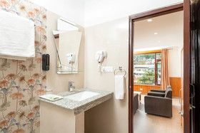 The Posh Hotel