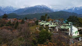 Lamrin Norwood Green, Palampur