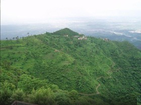 Timber Trail Heights & Terraces