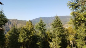 Clarks Exotica Nature Resort Rajgarh