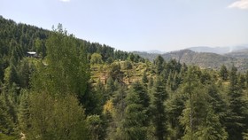 Clarks Exotica Nature Resort Rajgarh