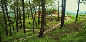 Aamod Resort