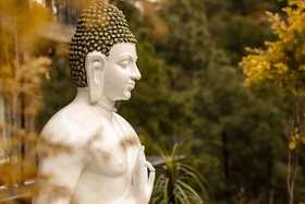 Golden Fern Resort