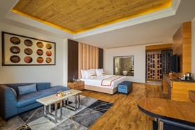Justa Cliffend Resort & Spa Mashobra