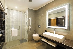 Justa Cliffend Resort & Spa Mashobra