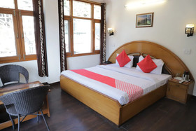 OYO 22806 Flagship Hari Palace