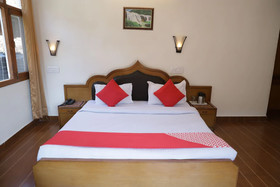 OYO 22806 Flagship Hari Palace