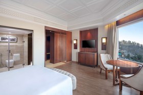 Radisson Kufri