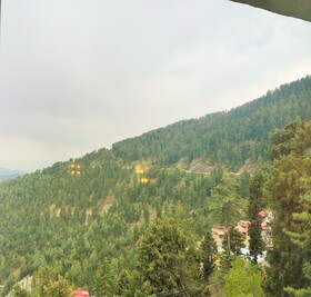 Royal Tulip Shimla - Kufri Hills