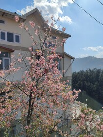 Vatsalyam Home Stay