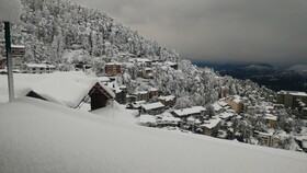 Ymca Shimla