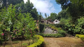 Soreena Farms