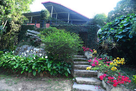 Soreena Farms