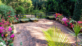 Soreena Farms