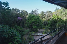 Soreena Farms