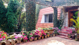 Soreena Farms