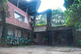 Soreena Farms