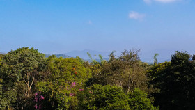 Soreena Farms