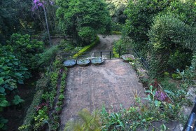 Soreena Farms
